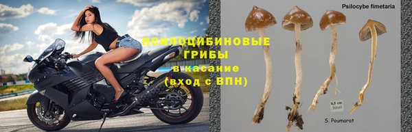 PSILOCYBIN Нягань