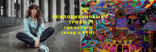 спиды Елизово