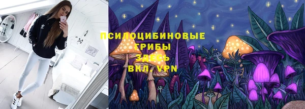 хмурый Нязепетровск