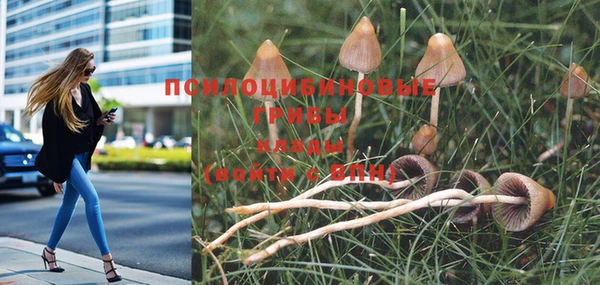 PSILOCYBIN Нягань