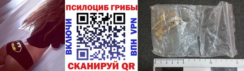 blacksprut как зайти  где найти   Пучеж  Галлюциногенные грибы Magic Shrooms 