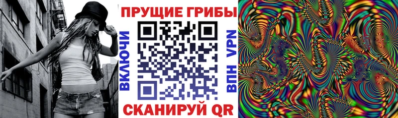 Галлюциногенные грибы ЛСД Пучеж